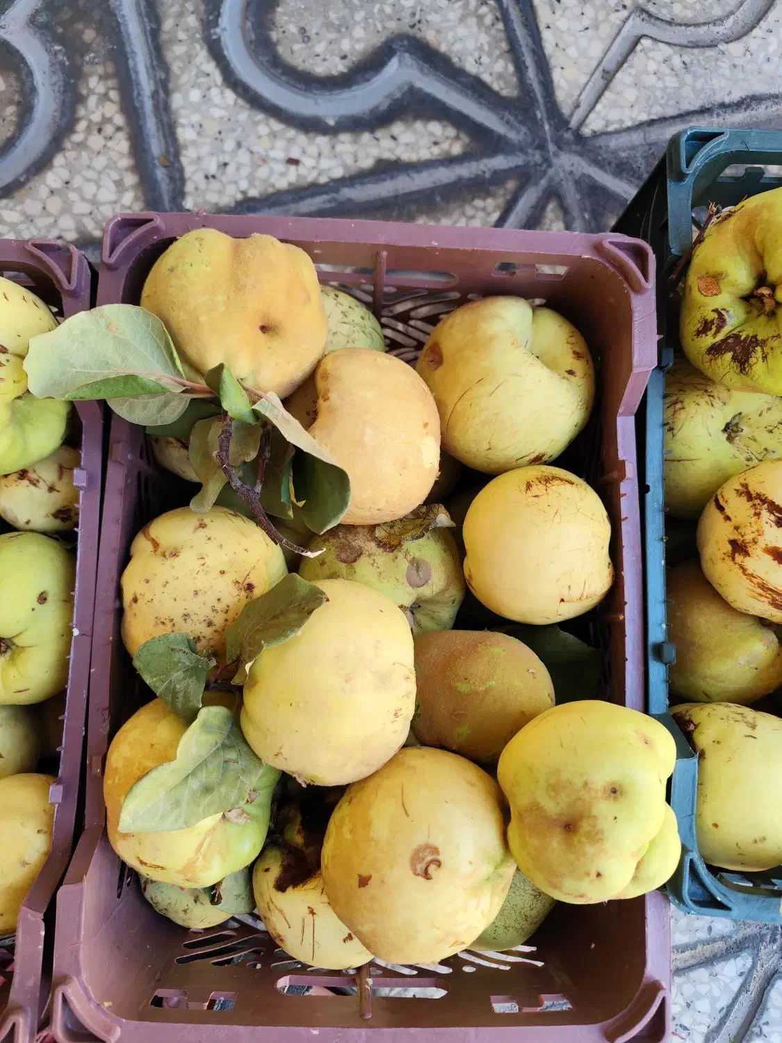 به سپیدان|خوردنی و آشامیدنی|شیراز, پودنک|دیوار
