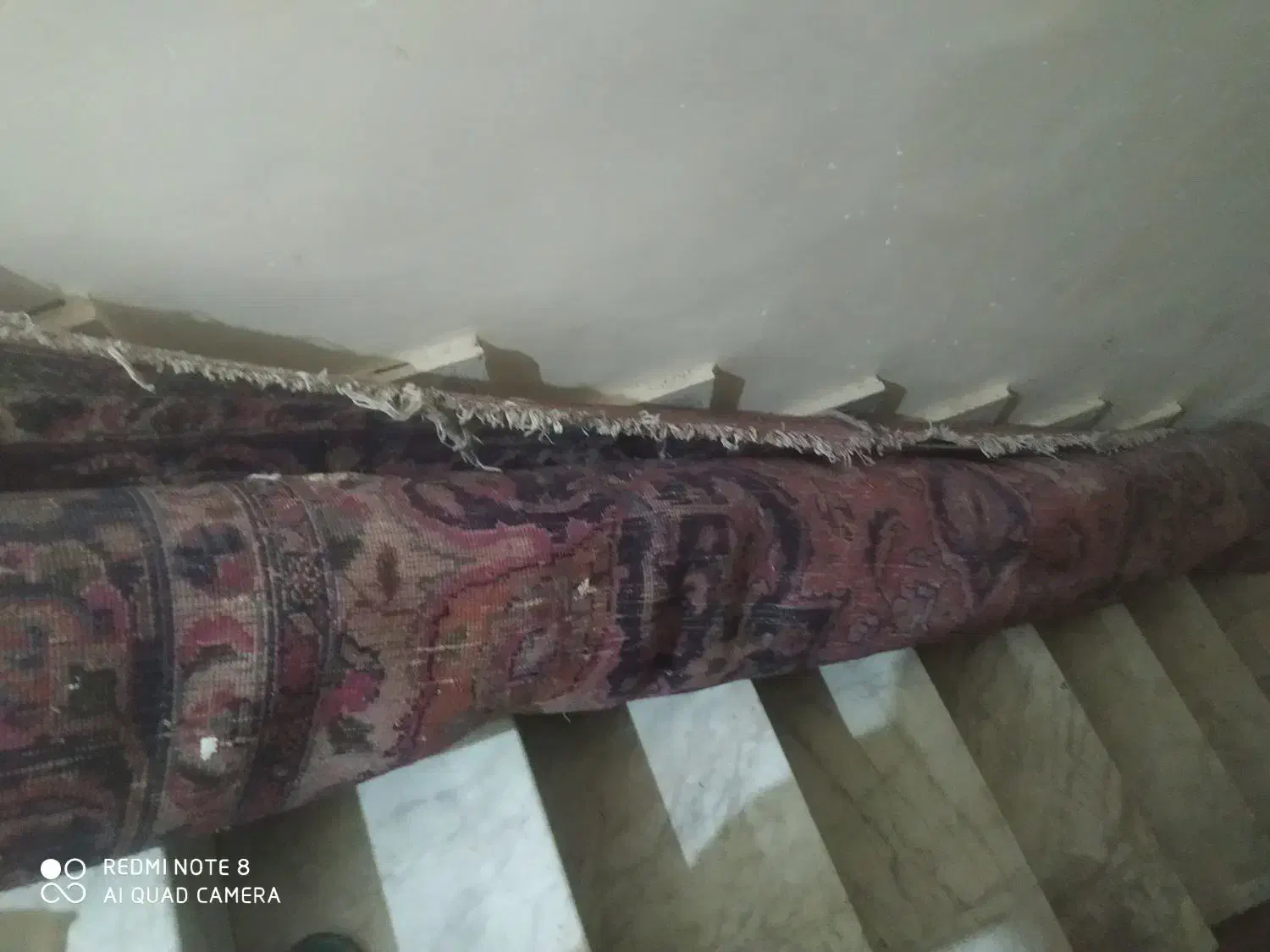 فرش دستباف قدیمی فروشی|فرش|مشهد, گلشور|دیوار