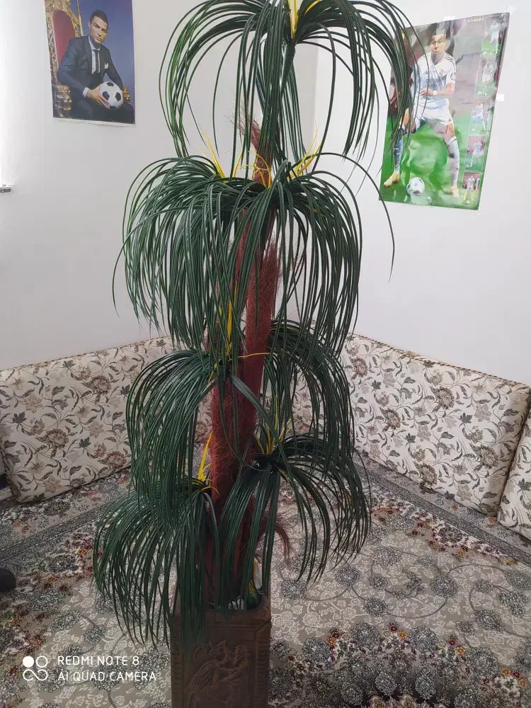 نخل مصنوعی|گل مصنوعی|اسلام‌‌آباد غرب, |دیوار