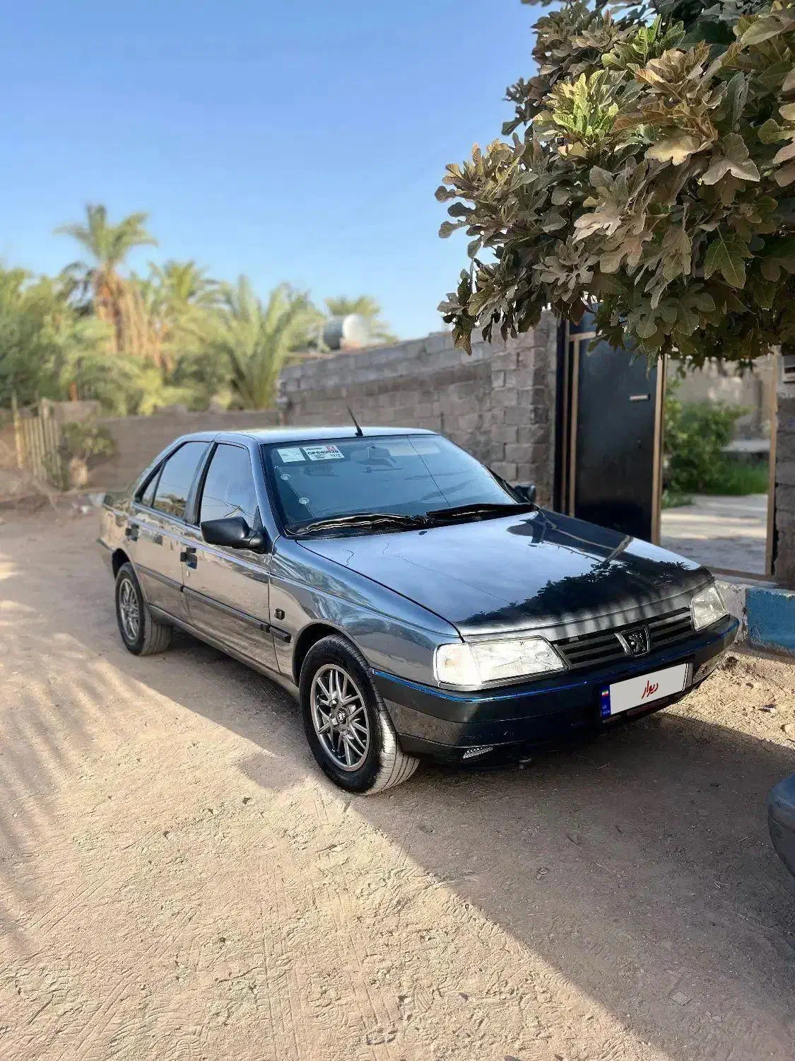 ۴۰۵دلفینی|خودرو سواری و وانت|بم, |دیوار