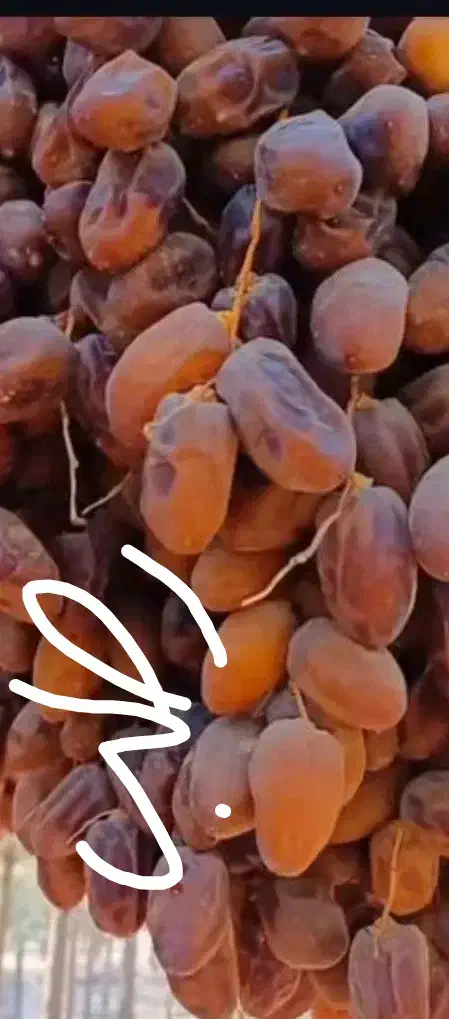 دانه درشت و تازه از نخلستان|خوردنی و آشامیدنی|شیراز, جوادیه|دیوار