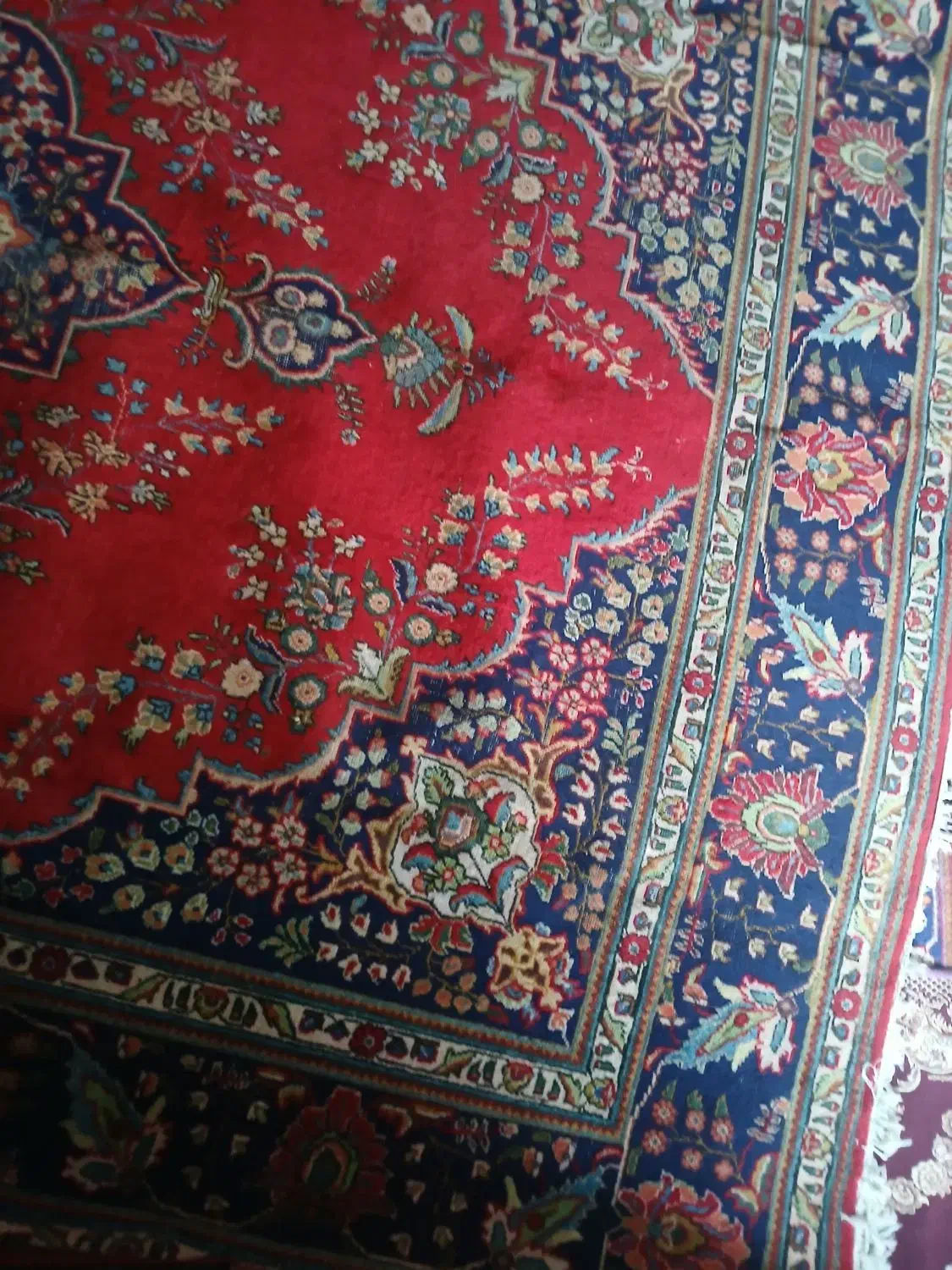 فرش دستبافت|فرش|مرند, |دیوار