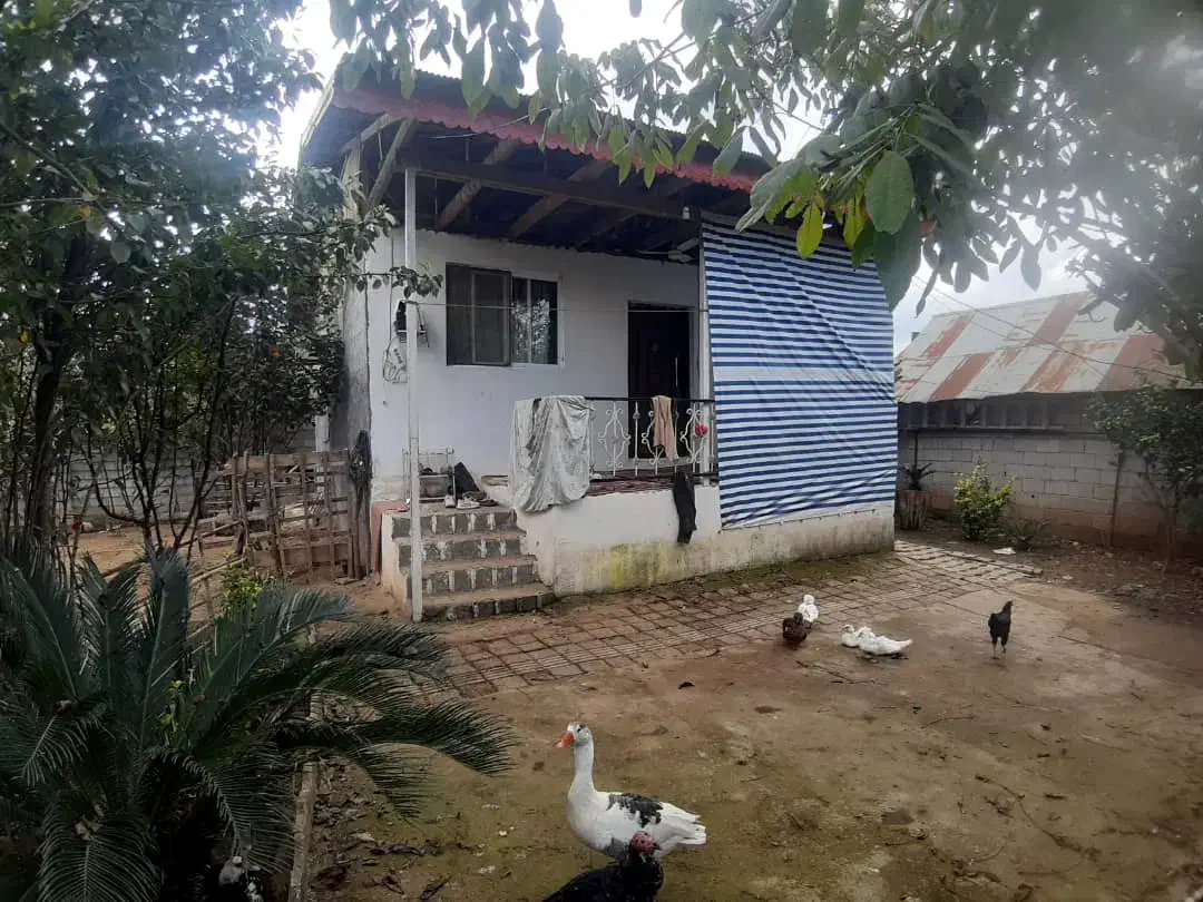 750متر زمین مسکونی با بنا قابل سکونت /*|فروش خانه و ویلا|لشت نشا, |دیوار