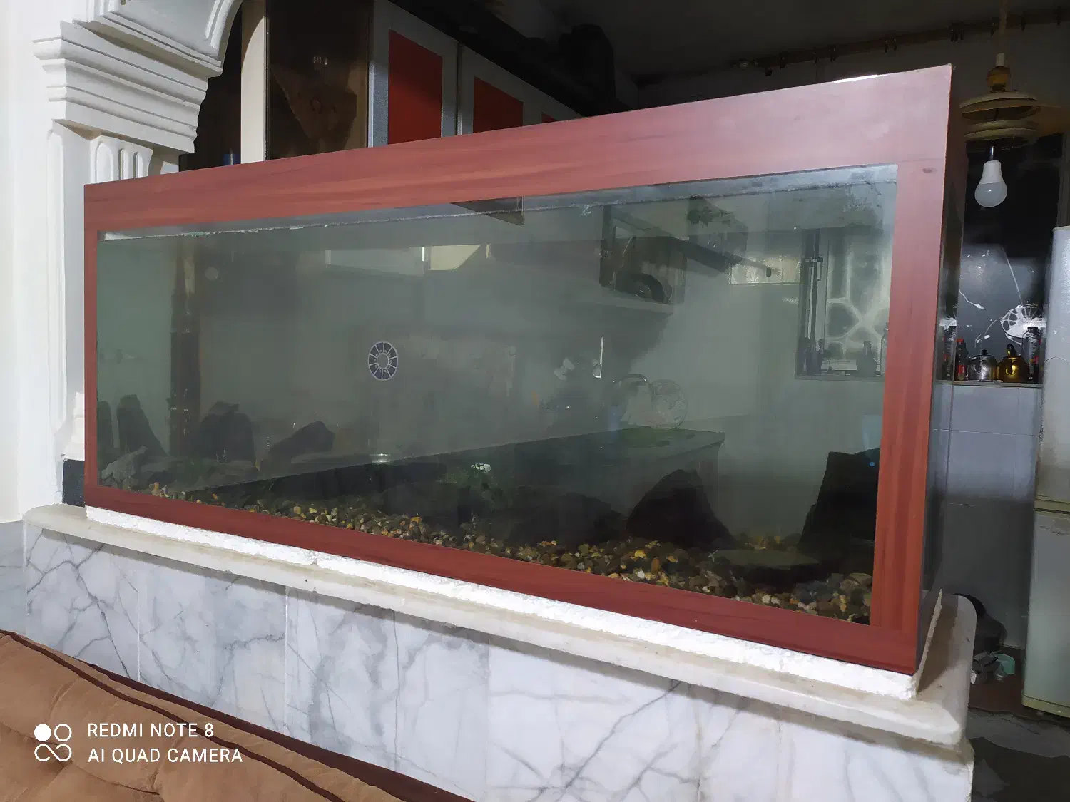 آکواریوم ماهی|ماهی|گنبد کاووس, |دیوار