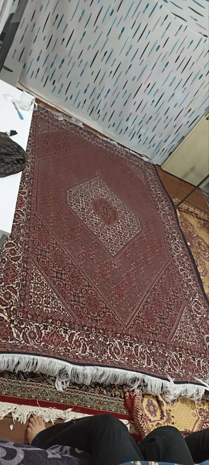 ۶متری|فرش|زنجان, |دیوار