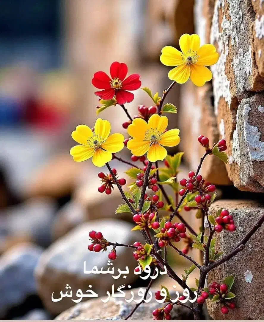 09201416522|سیم‌کارت|ارومیه, |دیوار