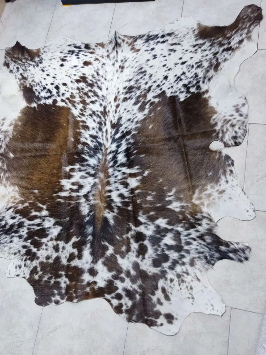 پوست طبیعی گاوی نو|گلیم، جاجیم، گبه|نسیمشهر, |دیوار