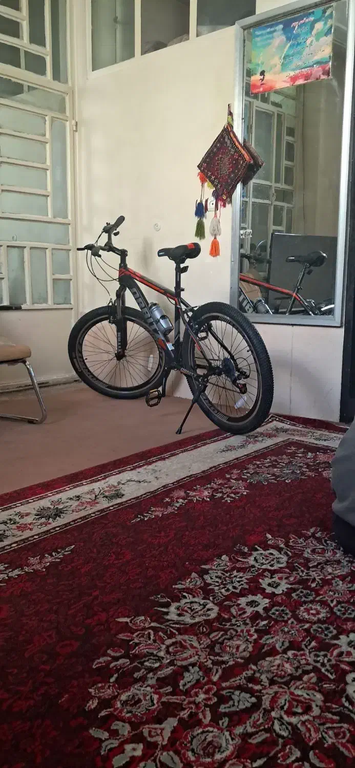 دوچرخه|دوچرخه، اسکیت، اسکوتر|شیراز, گویم|دیوار