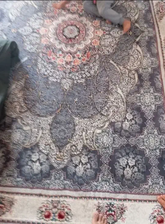 فرش 6 متری 2 عدد|فرش|زابل, |دیوار