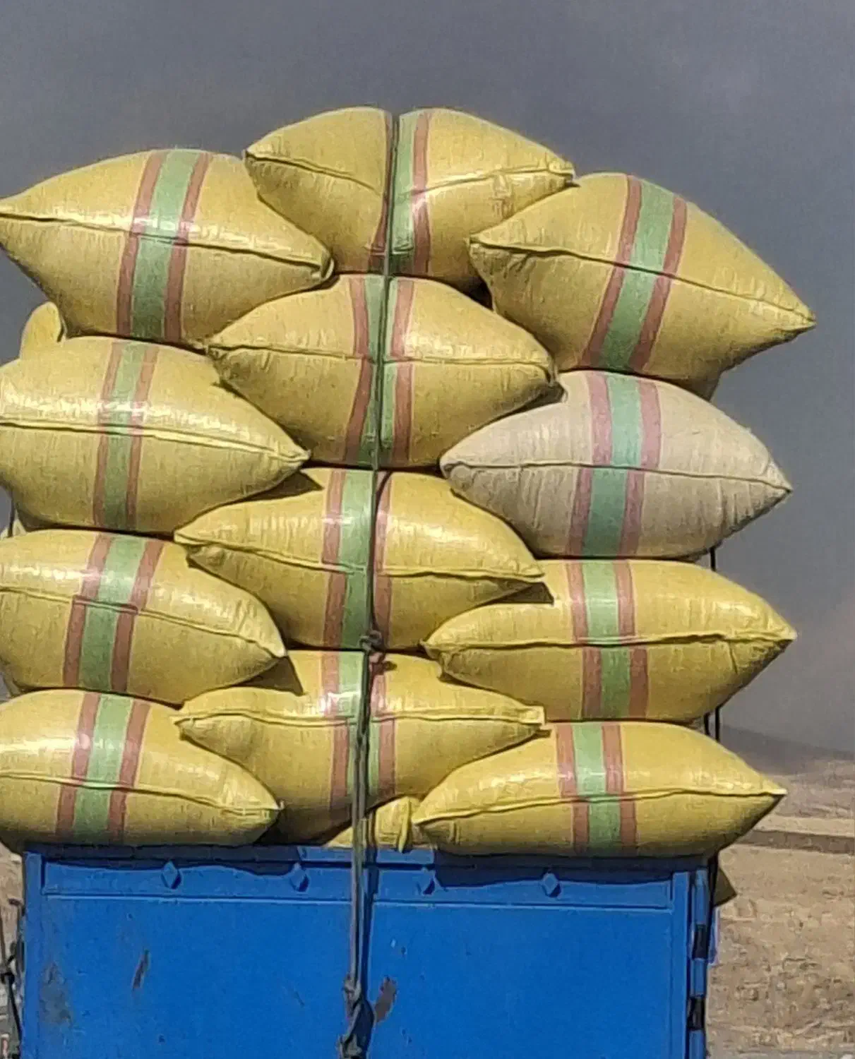 کاه گندم و جو مخلوط|حیوانات مزرعه|خاروانا, |دیوار