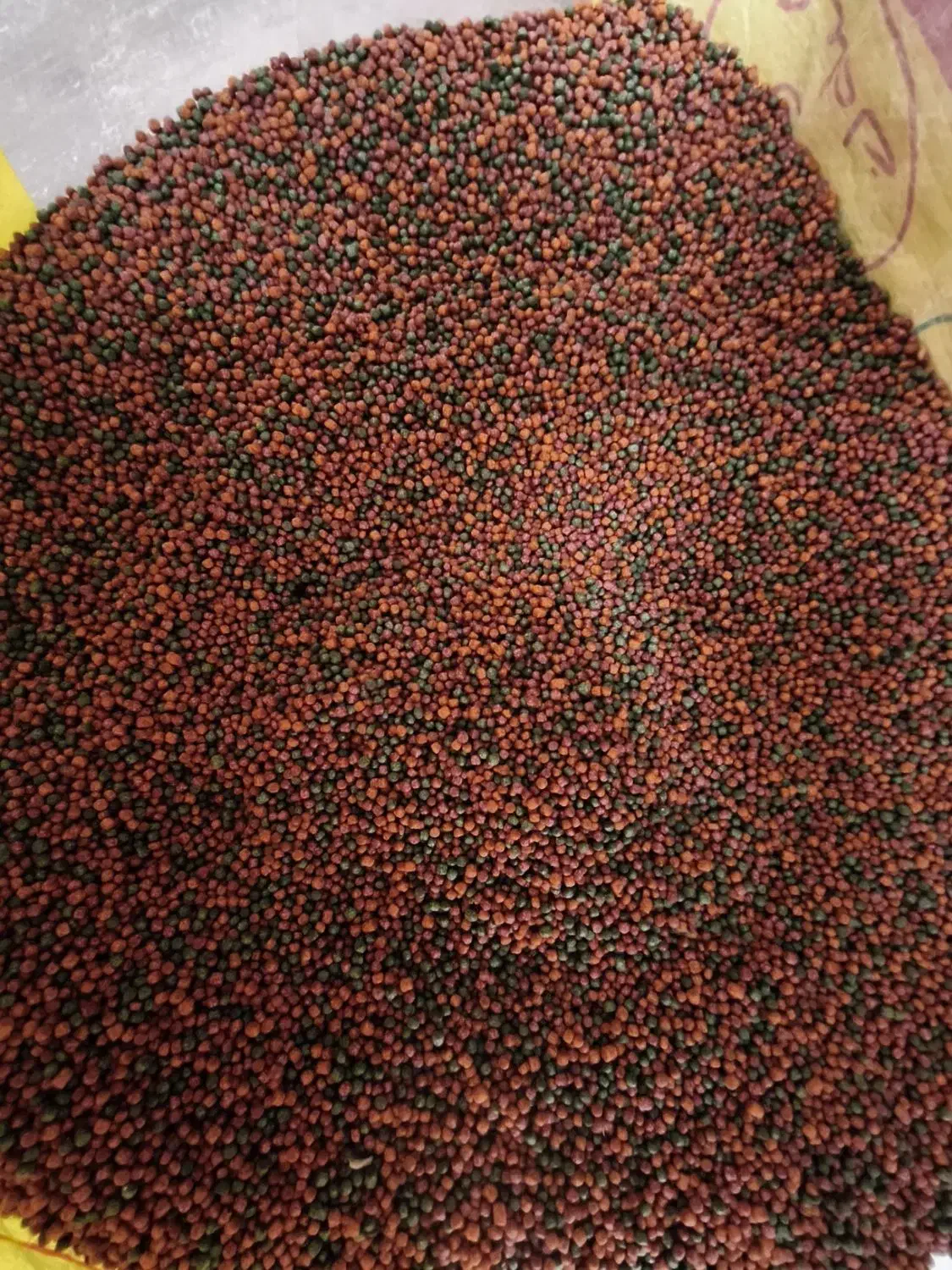 غذای ماهی آب شیرین|ماهی|اصفهان, سروستان|دیوار