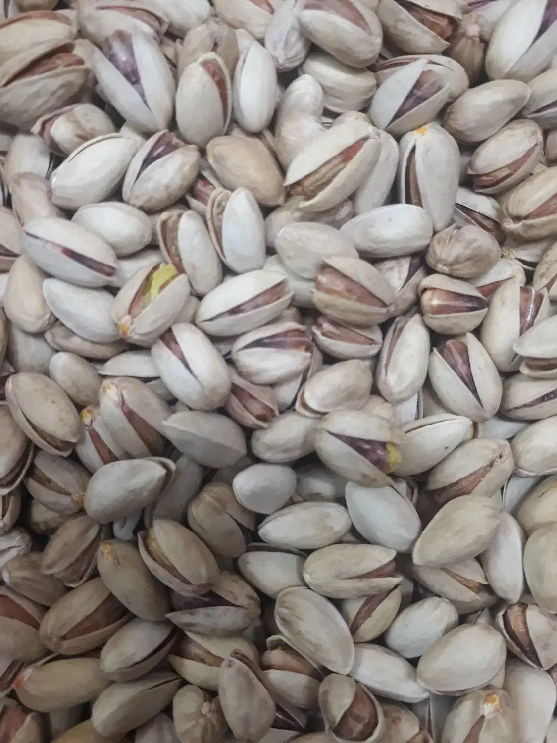 پسته|خوردنی و آشامیدنی|مه ولات, |دیوار
