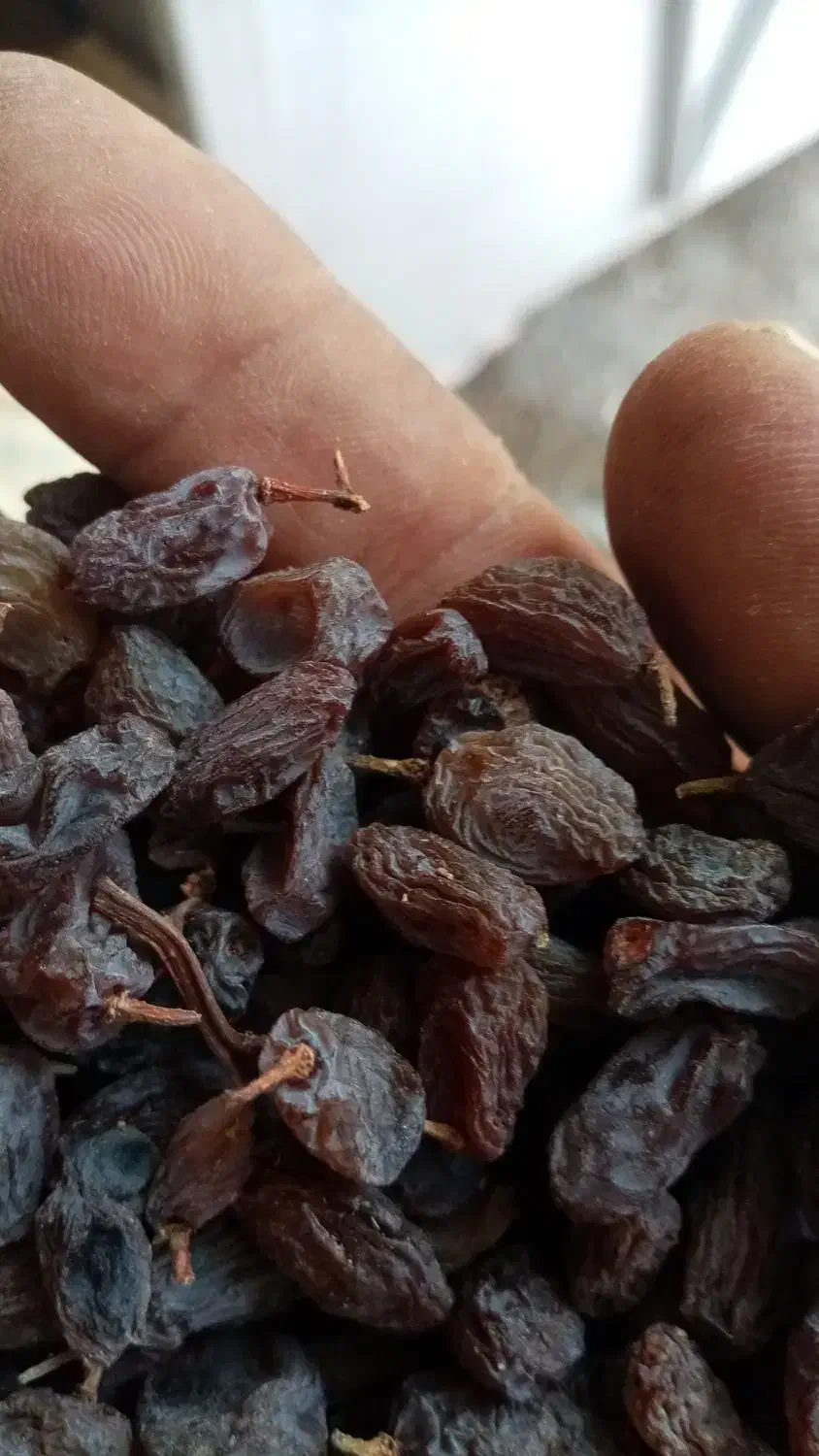 فروش کشمش وافتابی بوانات فروش بالای 100 کیلو|خوردنی و آشامیدنی|خرم بید, |دیوار