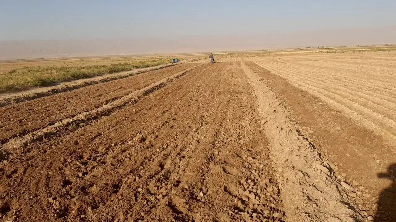 فروش زمین کشاورزی|فروش دفتر صنعتی، کشاورزی، تجاری|چناران, |دیوار