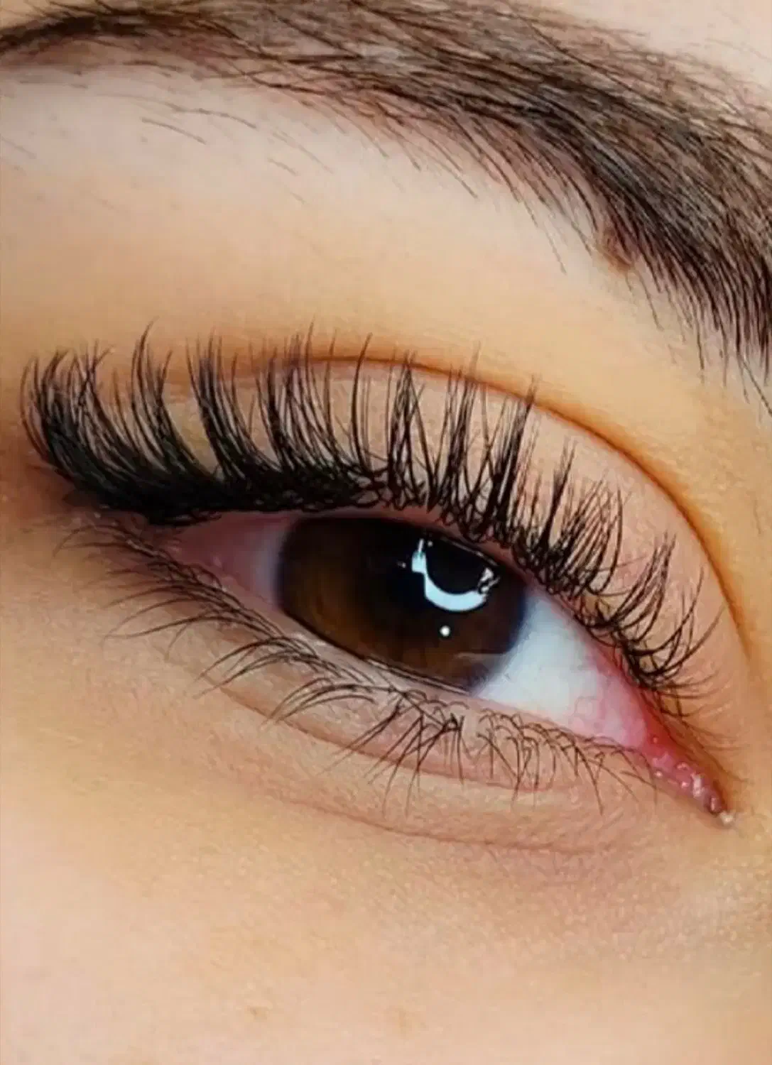 آموزش صفر تاصد اکستنشن مژه ، کاشتمژه و لیفت ولمینت|خدمات آموزشی|تهران, باغ فیض|دیوار