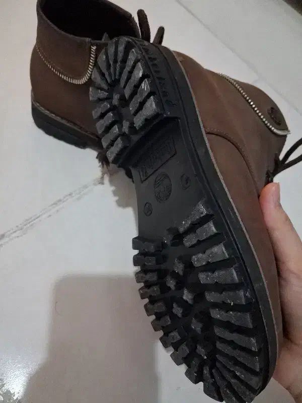 کفش|کیف، کفش، کمربند|بیرجند, |دیوار