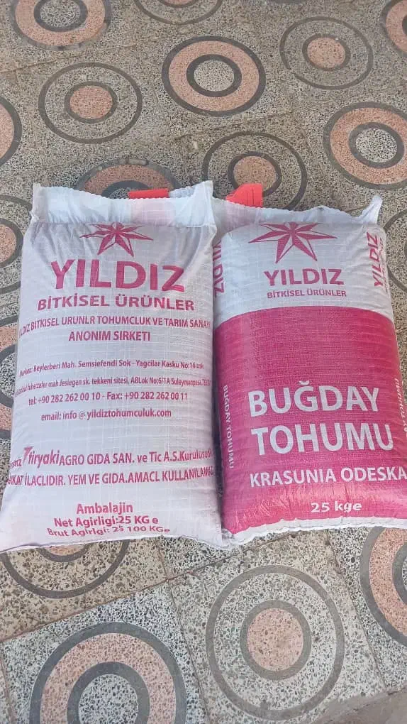 بذر گندم اوکراینی|گل و گیاه طبیعی|اهواز, زندوکیلی|دیوار