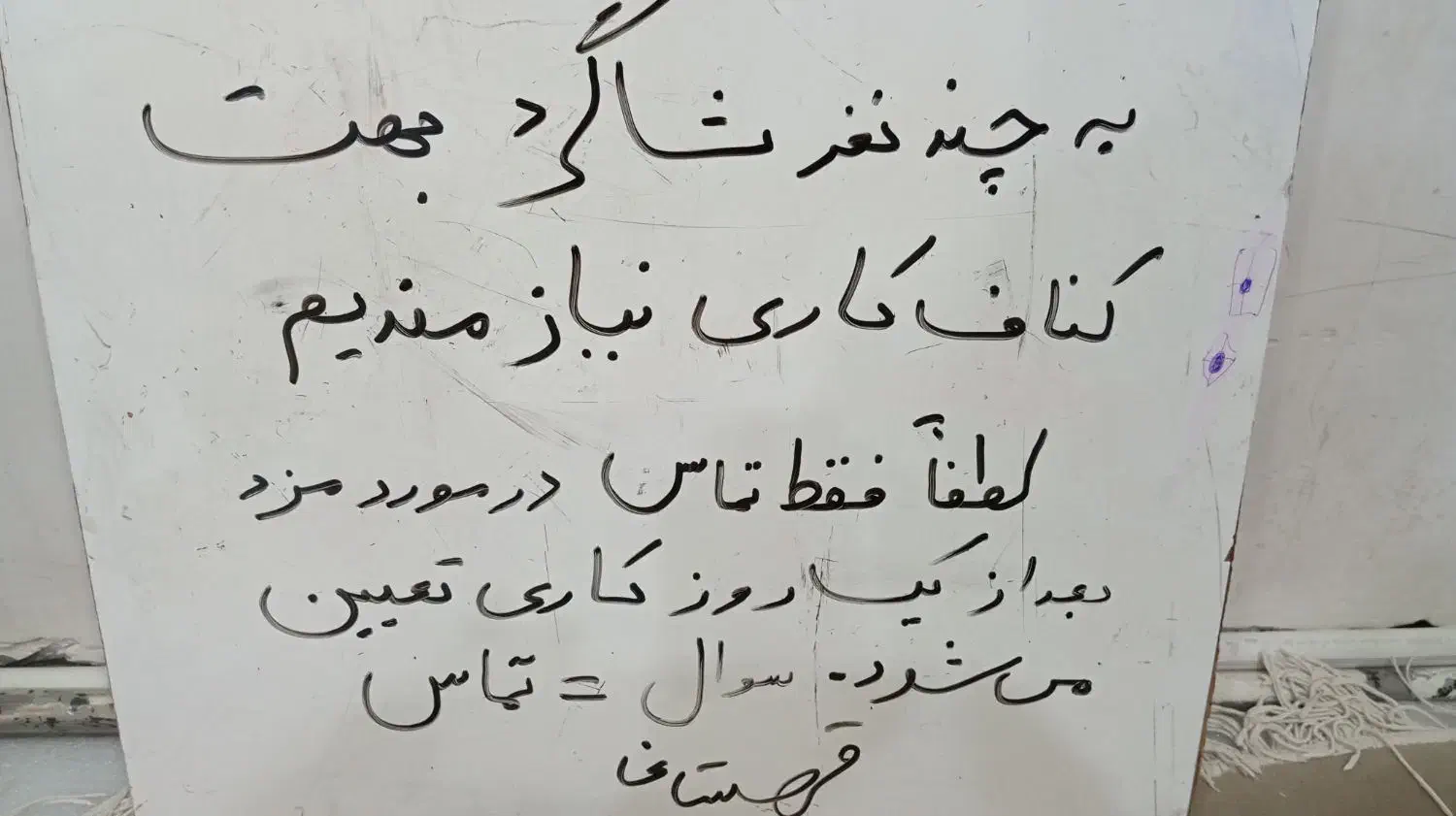 کفتر عکس دوم|پرنده|خواف, |دیوار