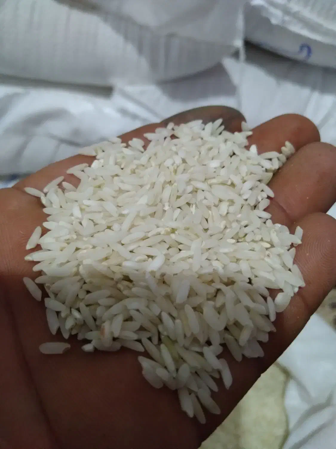 برنج هاشمی خرم اباد لرستان|خوردنی و آشامیدنی|تهران, زعفرانیه|دیوار