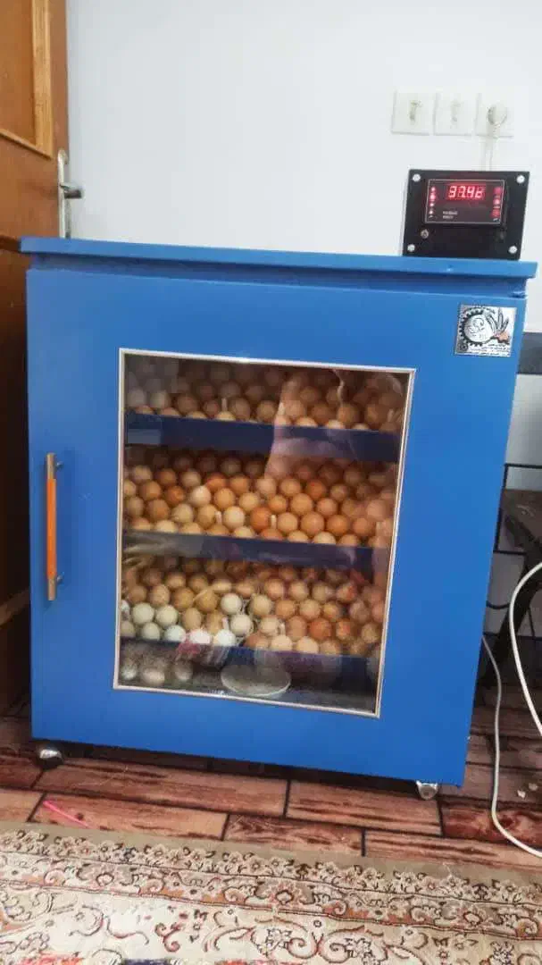 فروش ویژه دستگاه جوجه کشی|لوازم جانبی حیوانات|کازرون, |دیوار