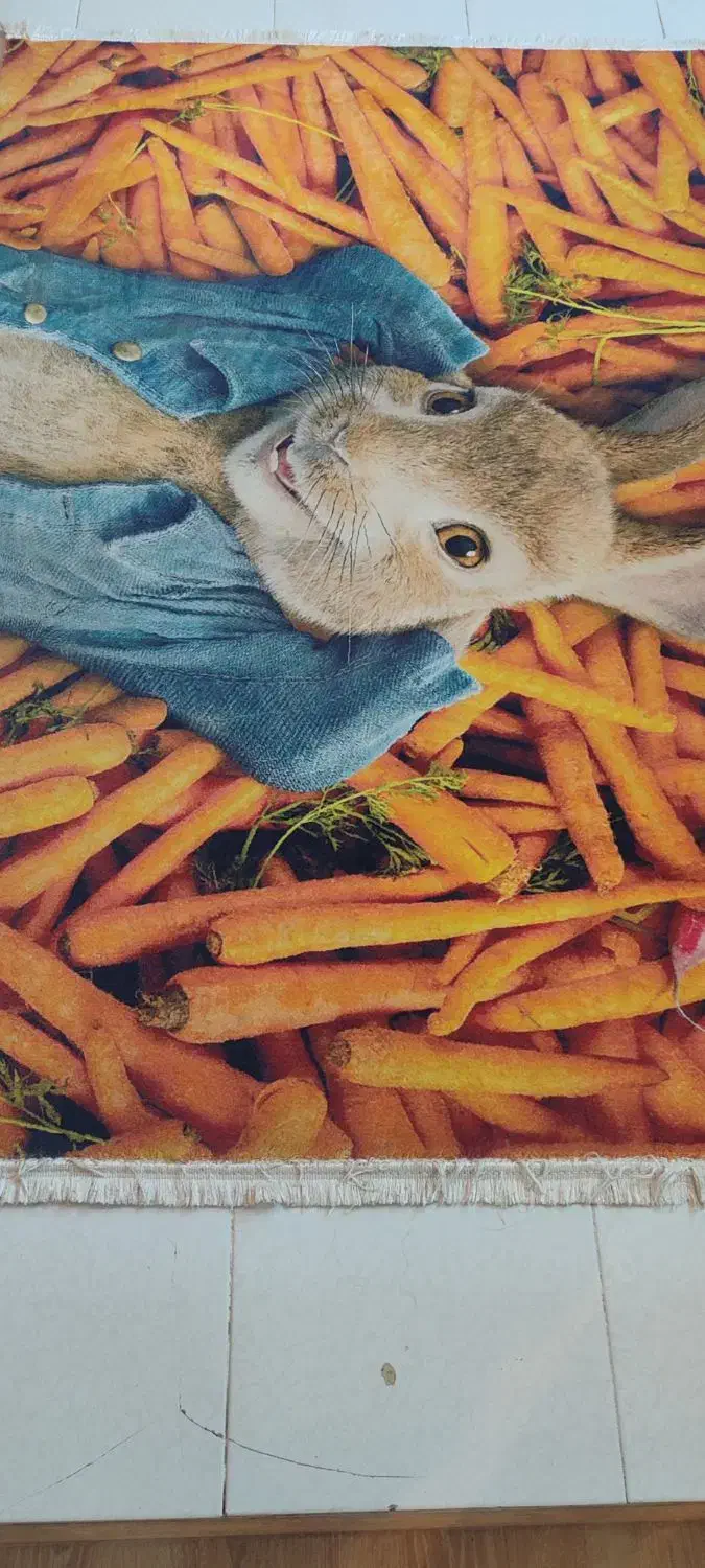 فرش ماشینی کودک|فرش|سهند, |دیوار