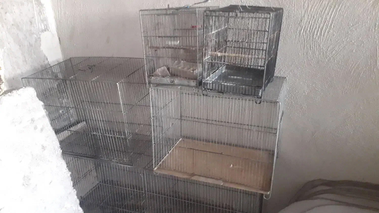 قفس سهره، قناری ، پژاوند ، جوجه پران|لوازم جانبی حیوانات|رباط‌کریم, رباط‌کریم|دیوار