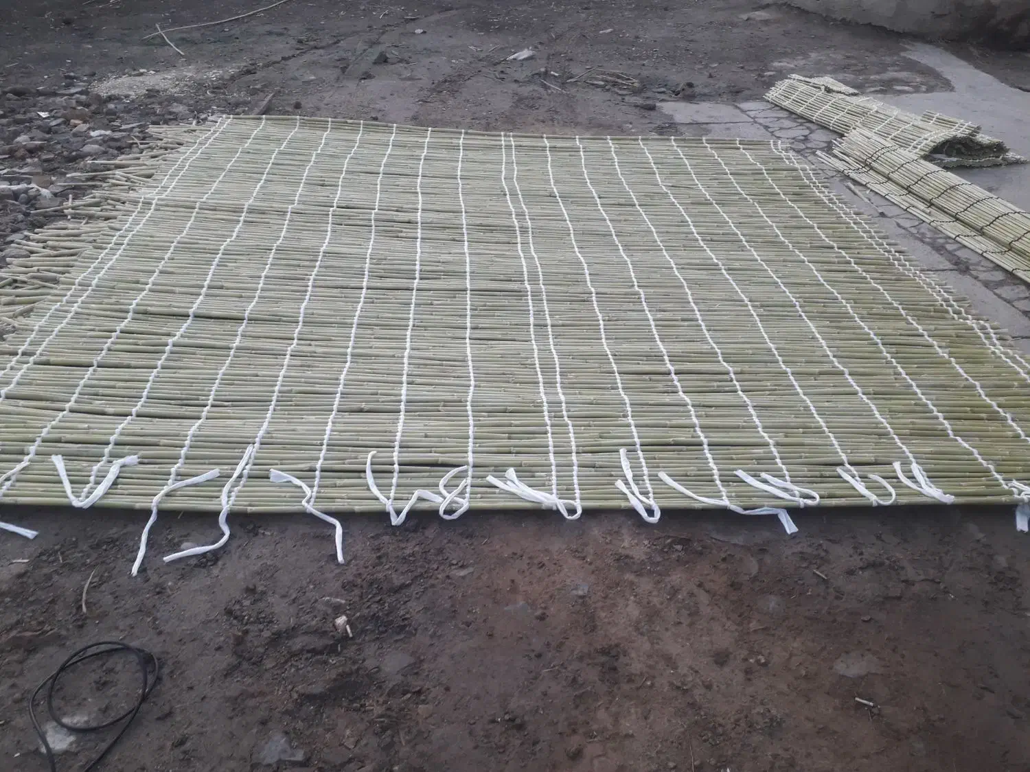 حصیر|صنایع دستی و سایر لوازم تزئینی|گنبد کاووس, |دیوار