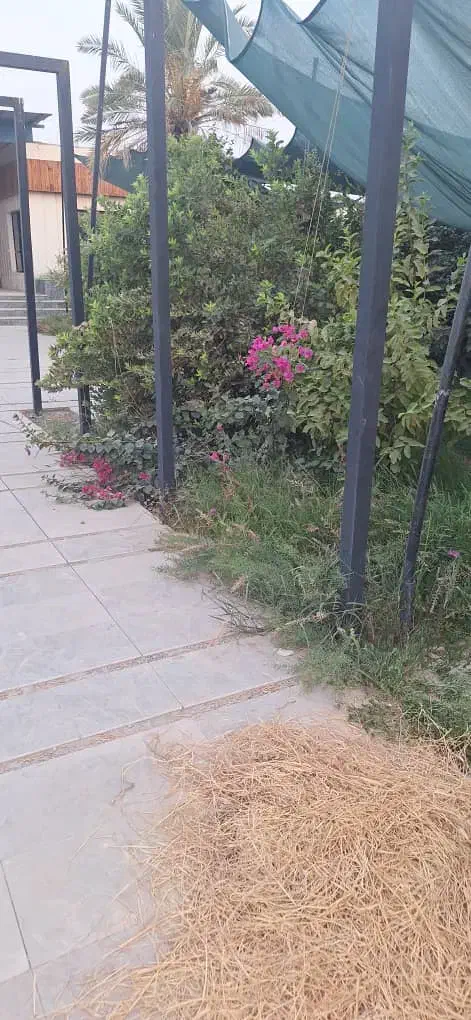 باغبانی|خدمات باغبانی و درختکاری|شوشتر, |دیوار