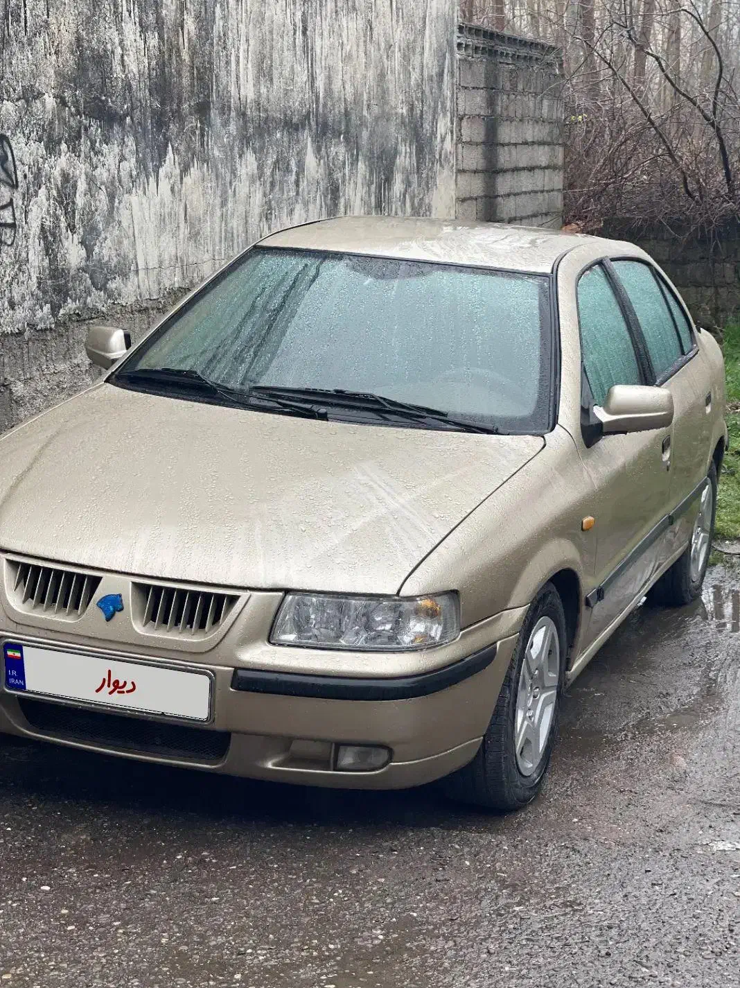 سمند مدل ۸۲|خودرو سواری و وانت|رشت, حمیدیان|دیوار