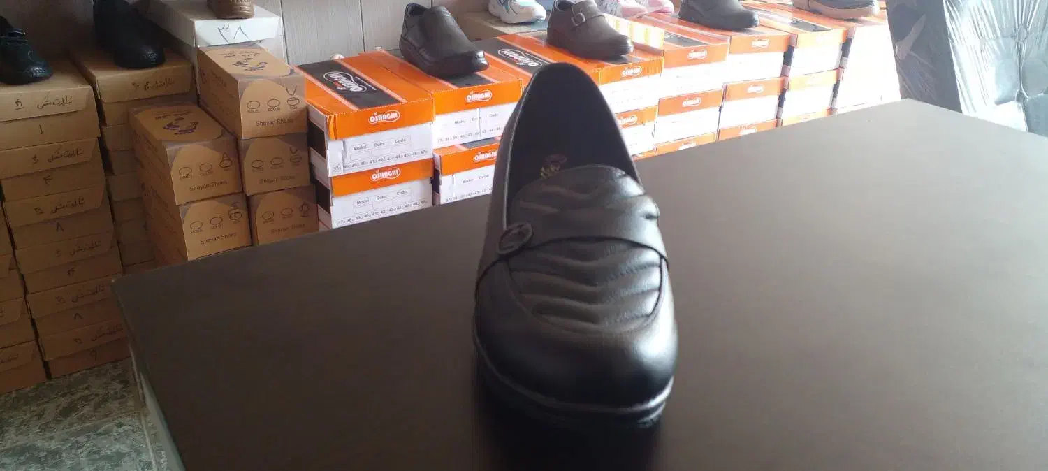 کفش ۴ زنانه|کیف، کفش، کمربند|داراب, |دیوار