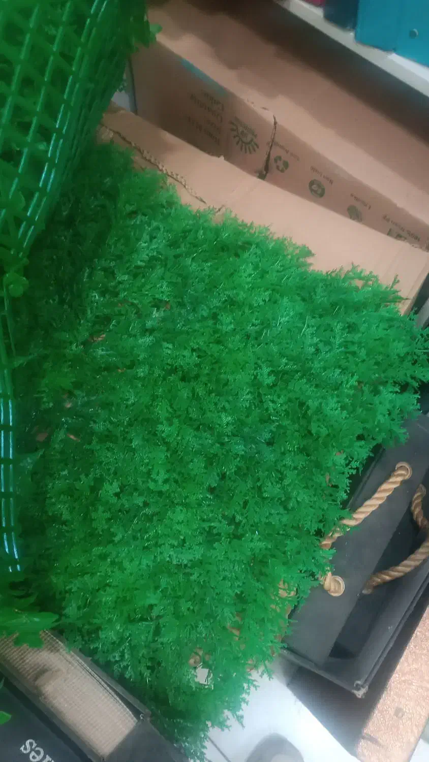 فنس /گرینوال/چمنی/ریسه/|گل مصنوعی|شیراز, سینما سعدی|دیوار