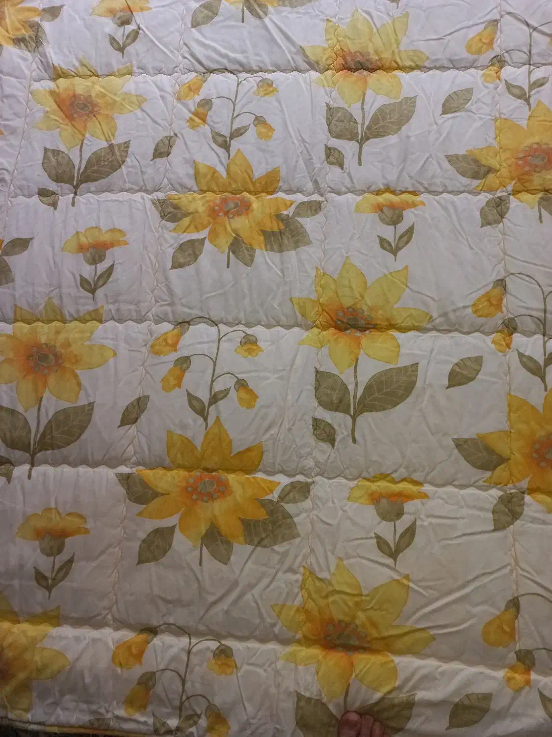 لایکو ی ترک|سرویس روتختی|رشت, عینک|دیوار