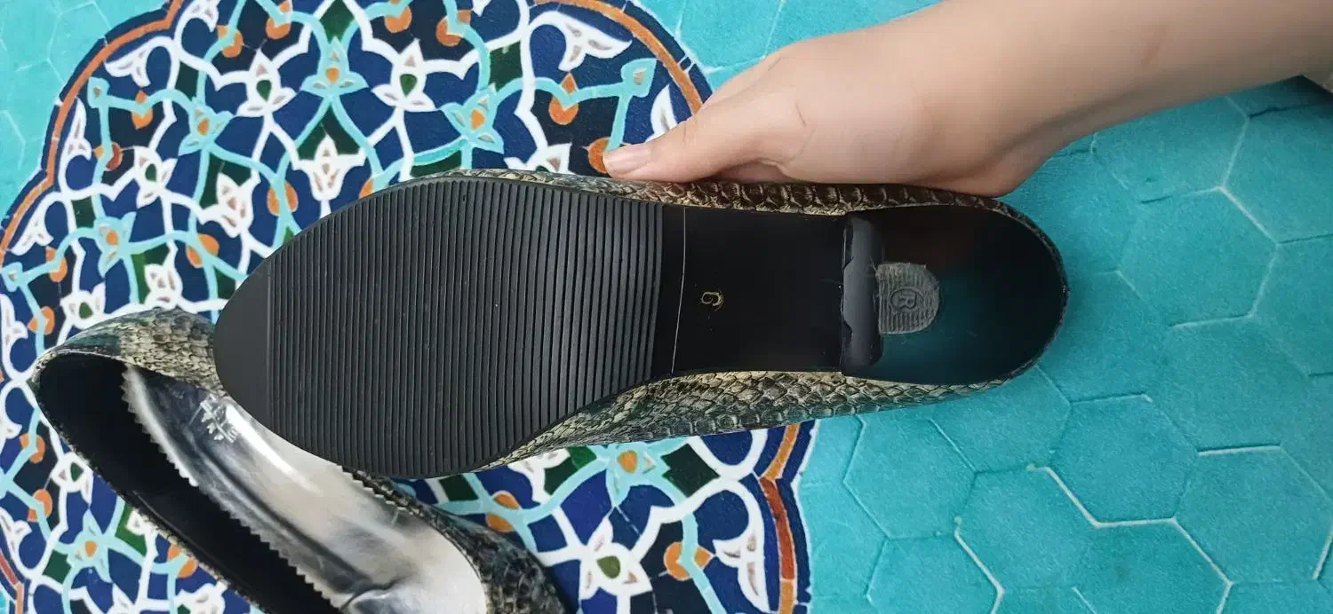 کفش های مجلسی|کیف، کفش، کمربند|الوند, |دیوار