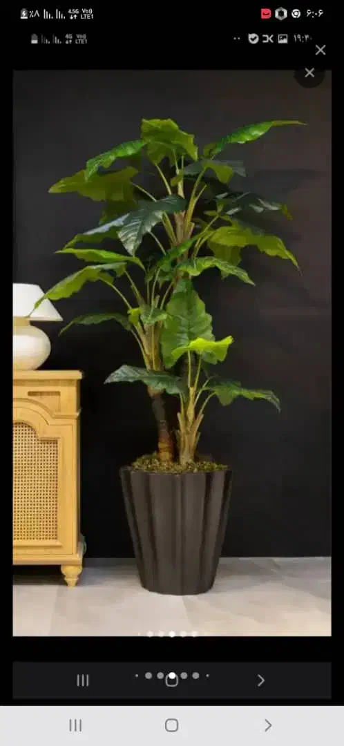 درخچه دوتنه|گل مصنوعی|تهران, مشیریه|دیوار