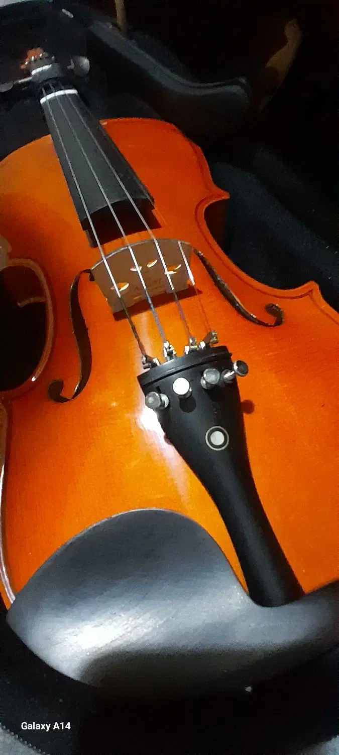 ویالن فروشی|ویولن|صفادشت, |دیوار