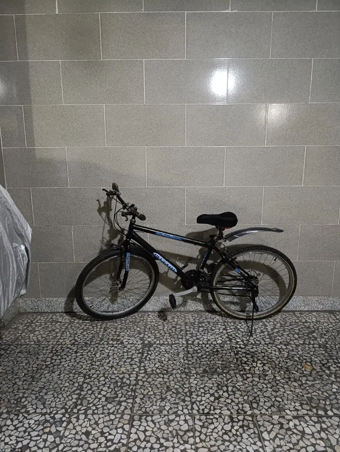 دوچرخه|دوچرخه، اسکیت، اسکوتر|رشت, فلسطین|دیوار