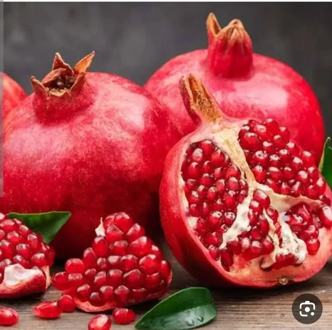 انار عمده بر روی درخت|خوردنی و آشامیدنی|ارسنجان, |دیوار