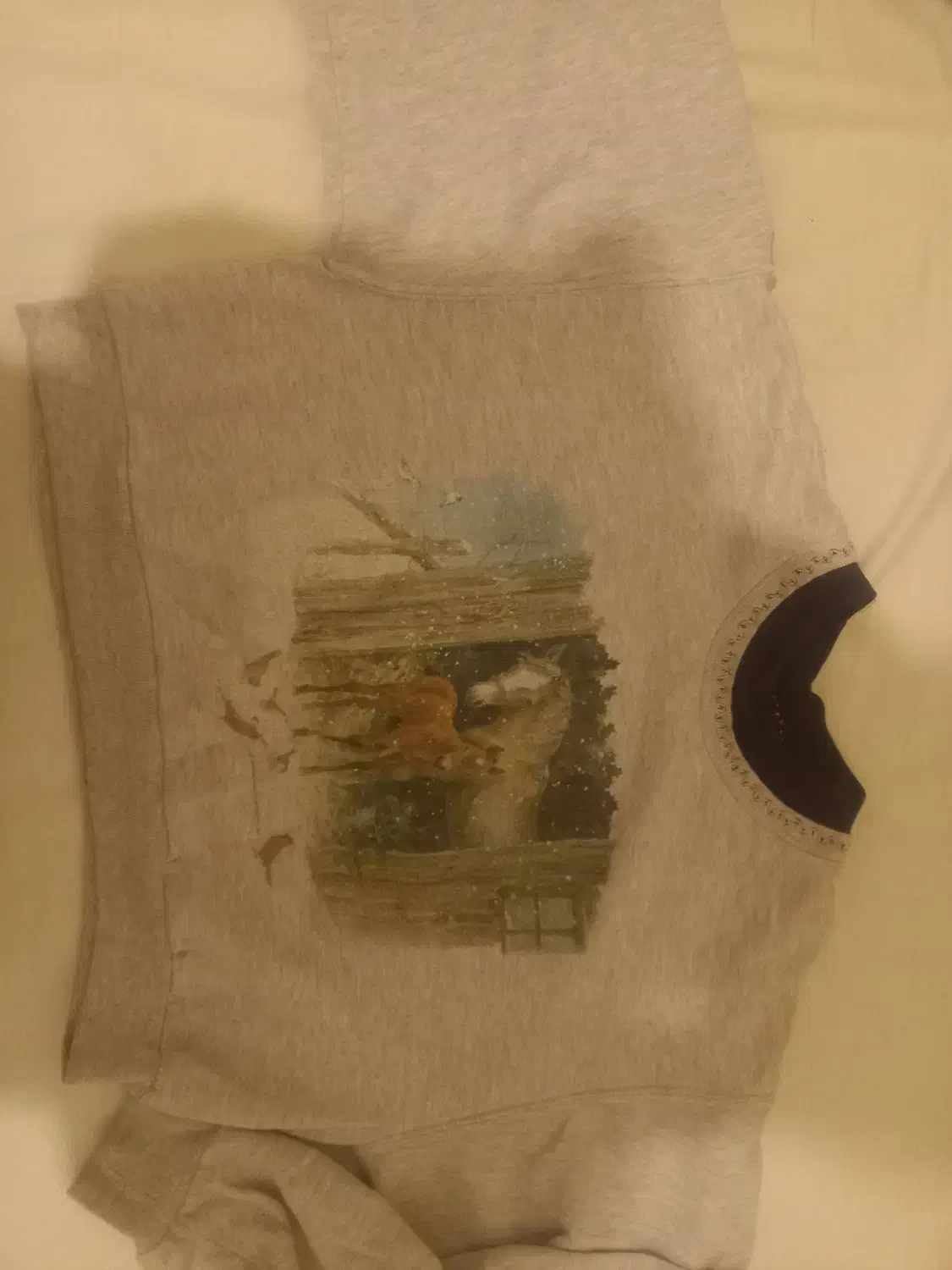 هودی و کراپ و دورس|لباس|کرمانشاه, |دیوار