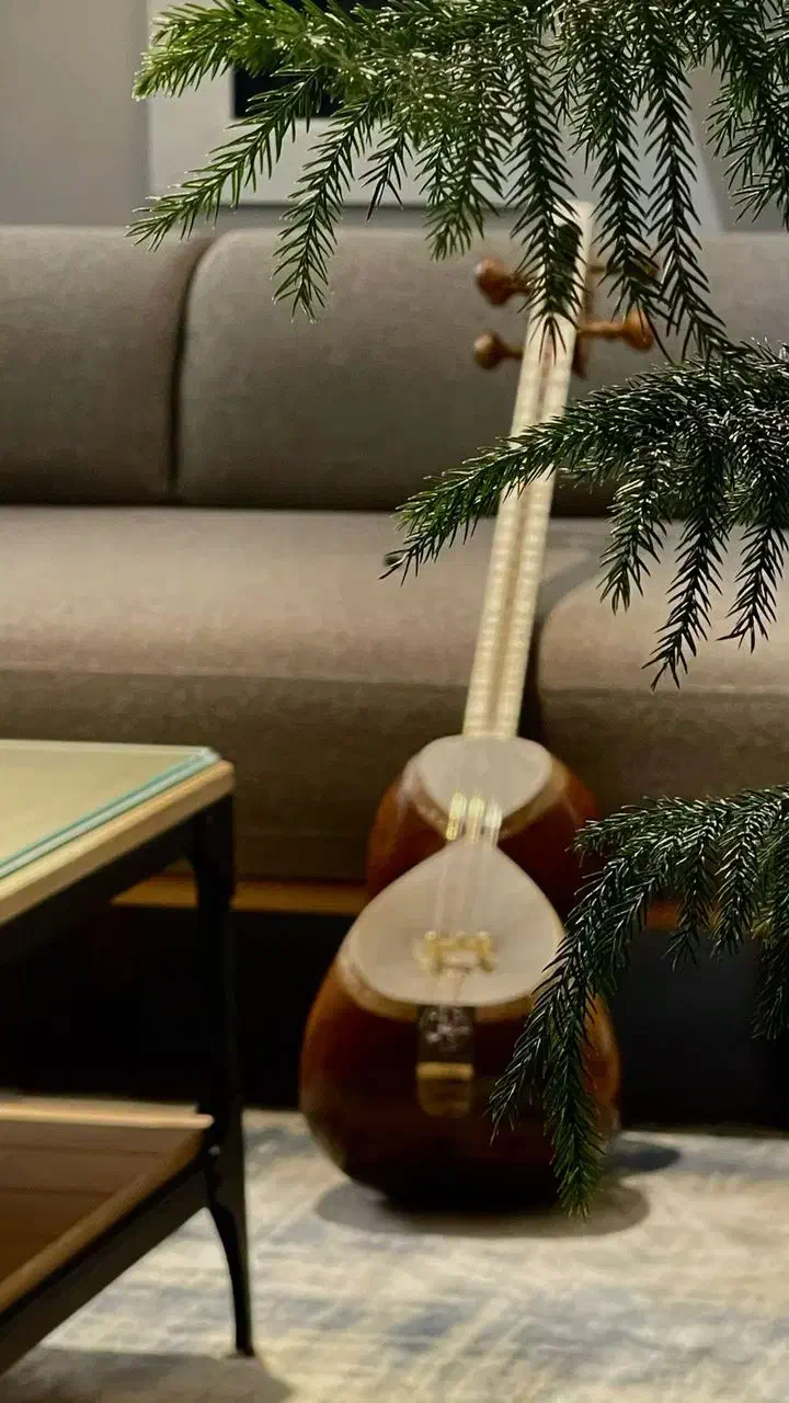 آموزش تخصصی تار و سهتار از مبتدی تا پیشرفته|خدمات آموزشی|اصفهان, خواجو|دیوار