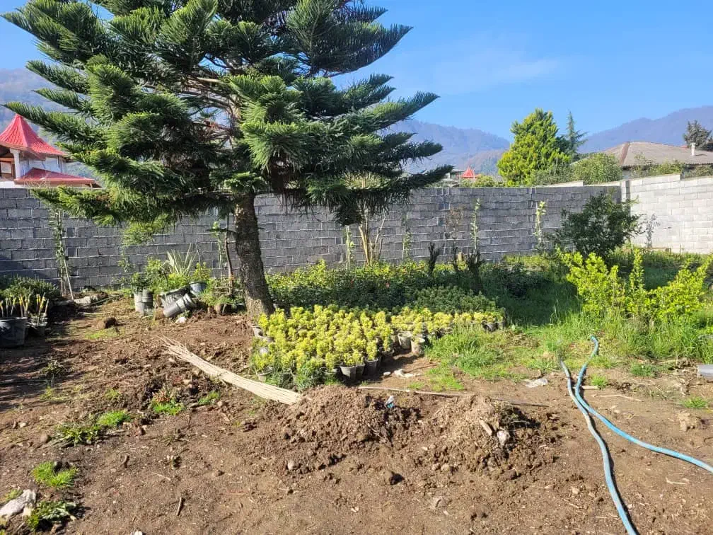 زمینی به مساحت 350 متر اوشیان|فروش زمین و ملک کلنگی|چابکسر, |دیوار