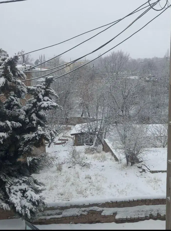 زمین تجاری مسکونی با مجوز ۳۸۰ متر بنا۲۰ متر تجاری|فروش زمین و ملک کلنگی|هشتگرد, فشند|دیوار