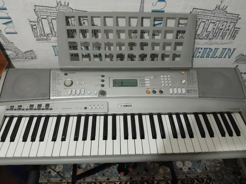 آلات موسیقی|پیانو، کیبورد، آکاردئون|میاندوآب, |دیوار