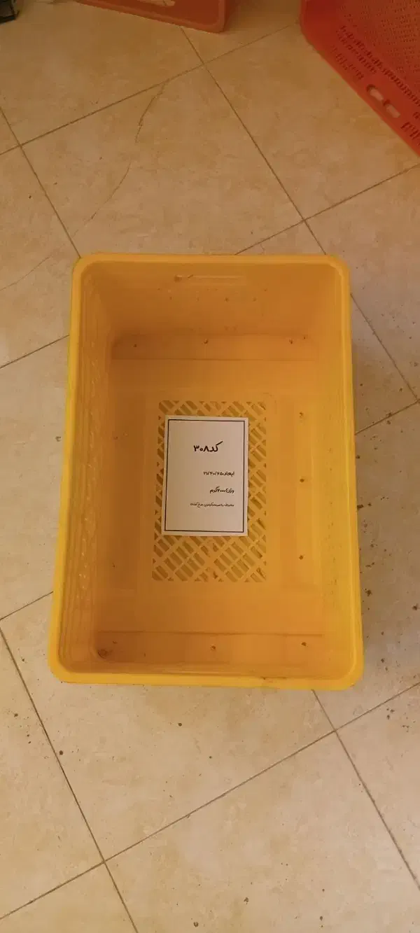 انواع سبد کشتارگاهی|لوازم نظافت|پاکدشت, پاکدشت (مامازند)|دیوار