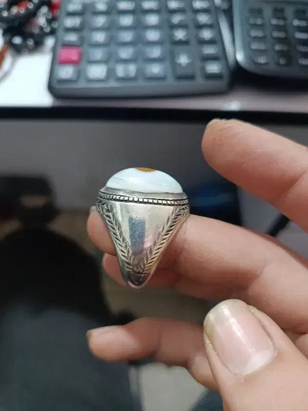 باباقوری سفید کمیاب|جواهرات|بوشهر, |دیوار