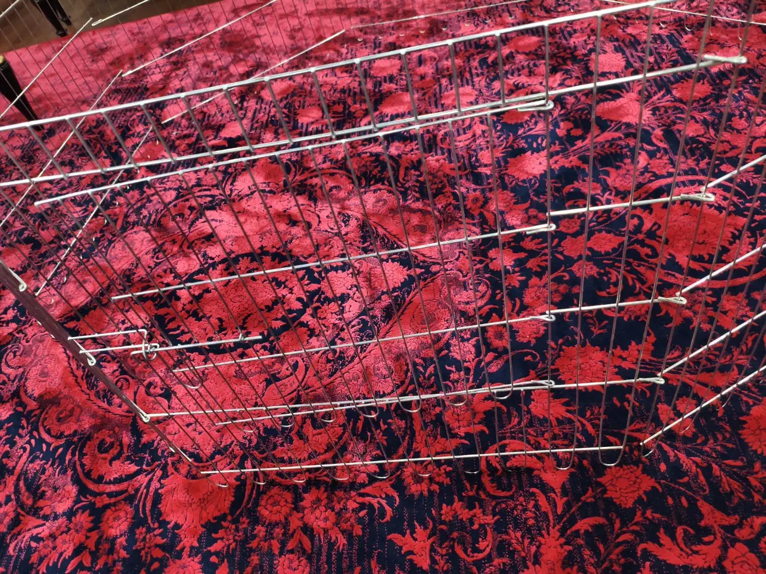 پارک سگ|لوازم جانبی حیوانات|کرج, عظیمیه|دیوار