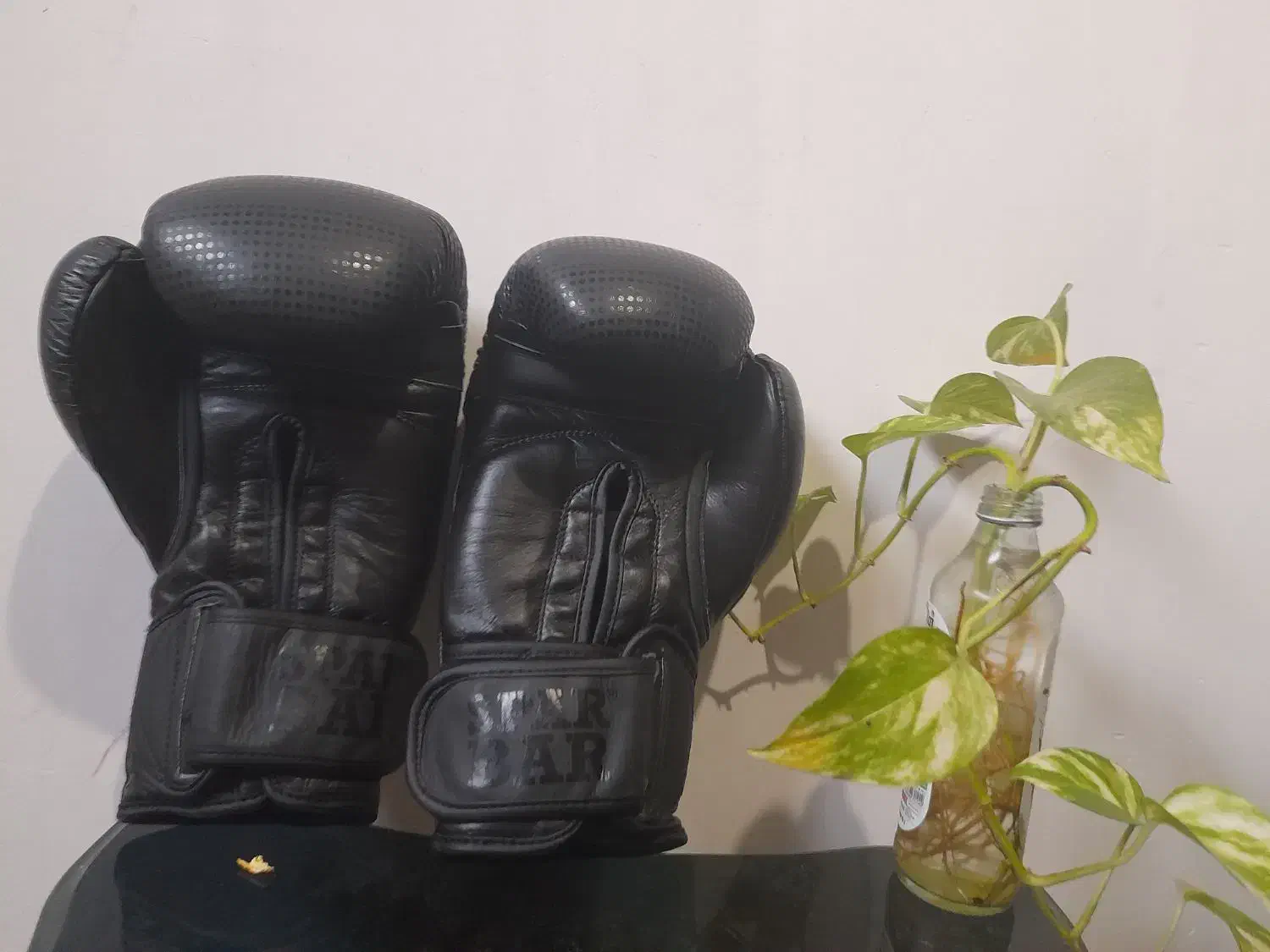 دستکش بوکس حرفه ای SPAR BAR|تجهیزات ورزشی|رشت, منظریه|دیوار