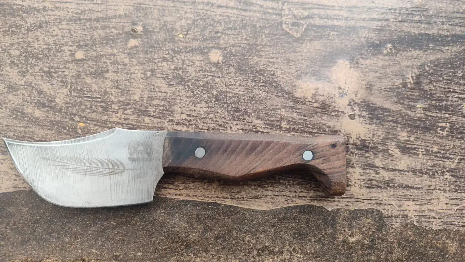 چاقو تیز|کوهنوردی و کمپینگ|پلدختر, |دیوار