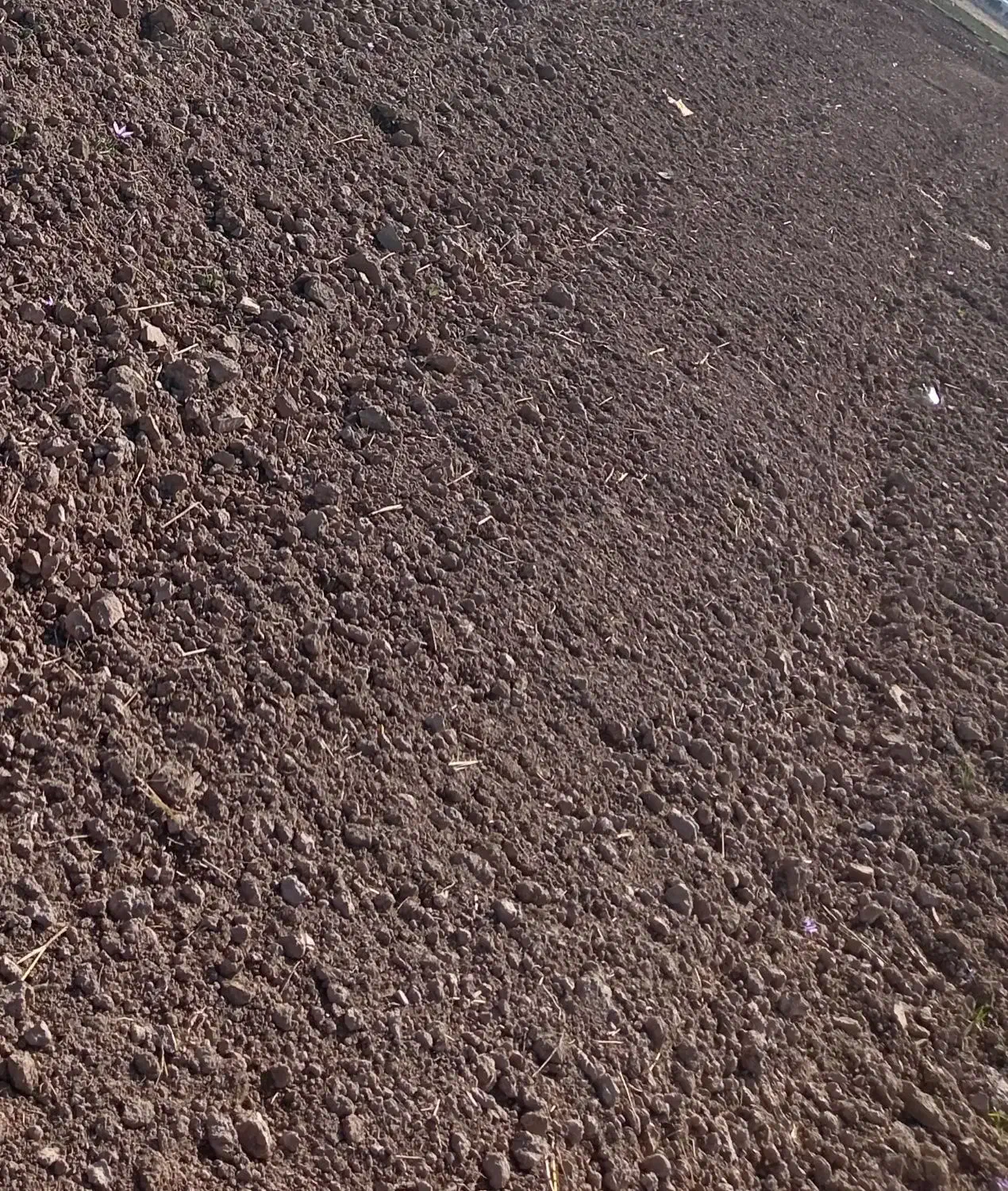 زمین مسکونی|فروش زمین و ملک کلنگی|زاوه, |دیوار