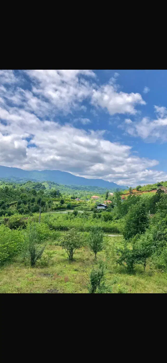 فروش زمین ساحلی۳۰۰۰ متری واقع در عسکرآباد|فروش زمین و ملک کلنگی|کیاشهر, |دیوار