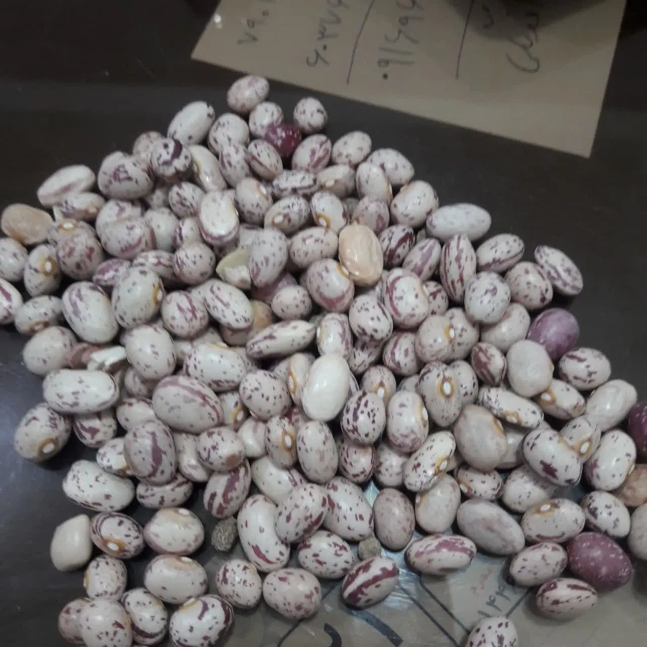 حبوبات خوش پخت و ارگانیک لرستان|خوردنی و آشامیدنی|تهران, میدان ولیعصر|دیوار